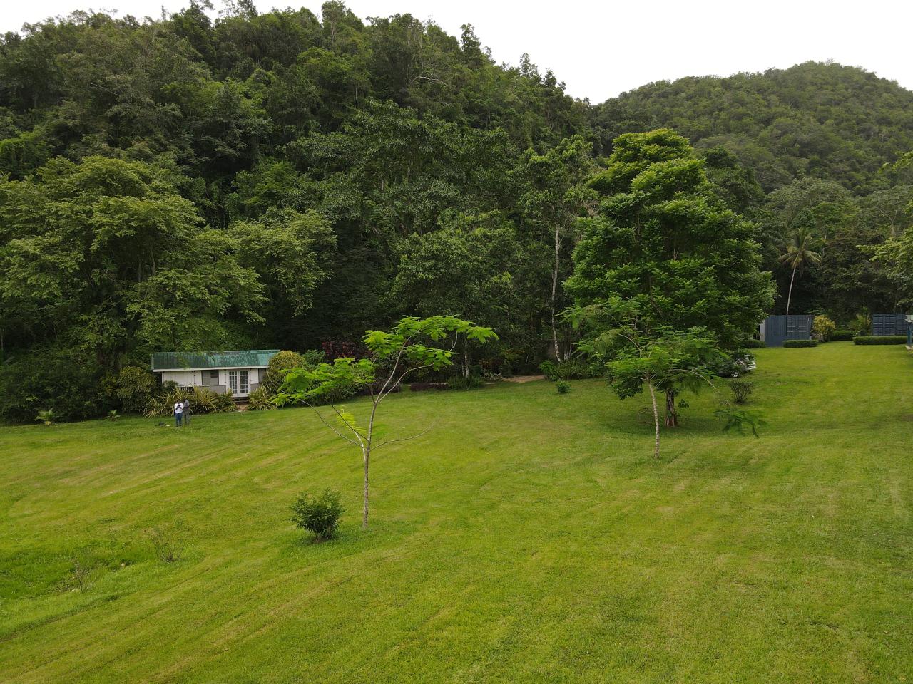 Seventeenth image of Lot 139-unity Bunkers Hill in Bunkers Hill, Trelawny, Jamaica - property is For Sale