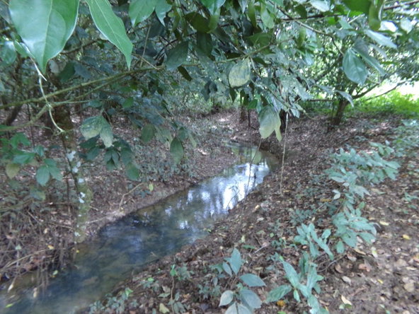 Eighteenth image of Lot 139-unity Bunkers Hill in Bunkers Hill, Trelawny, Jamaica - property is For Sale
