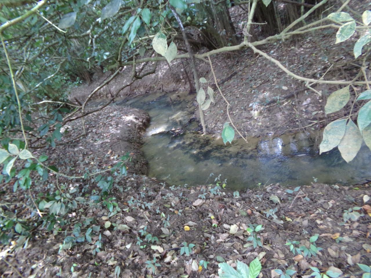 Nineteenth image of Lot 139-unity Bunkers Hill in Bunkers Hill, Trelawny, Jamaica - property is For Sale