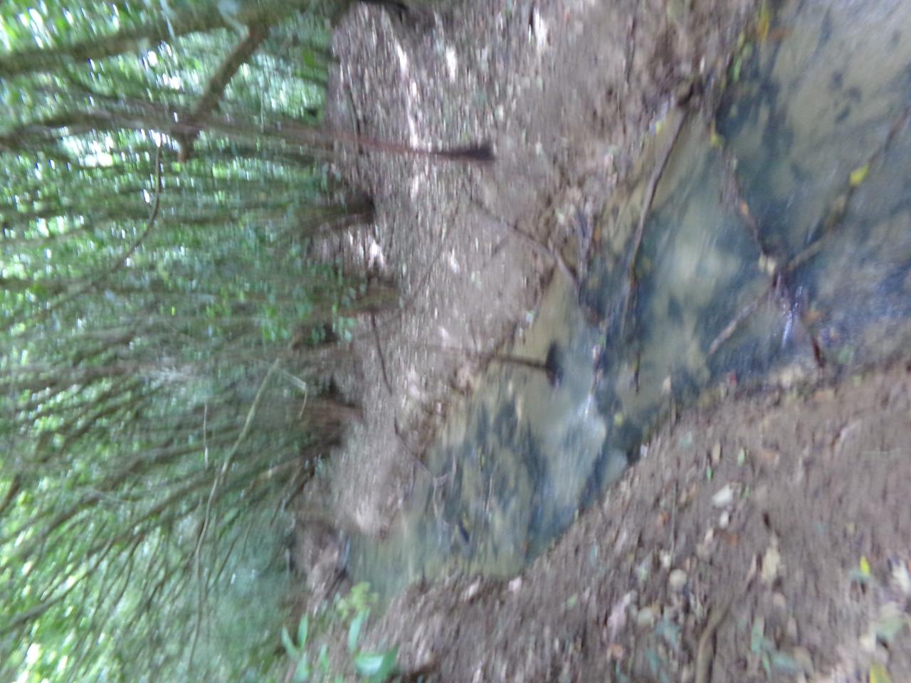 Twenty-First image of Lot 139-unity Bunkers Hill in Bunkers Hill, Trelawny, Jamaica - property is For Sale