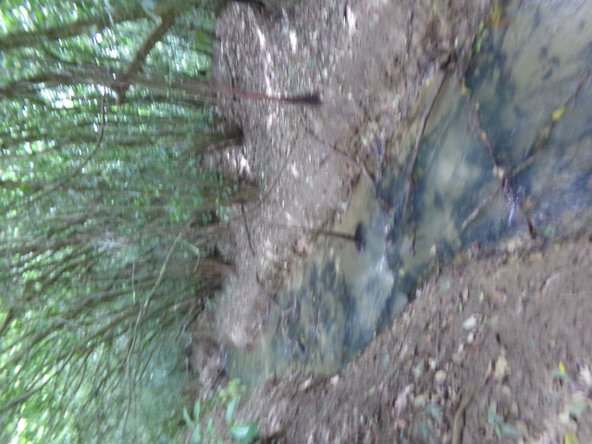 Twenty-First image of Lot 139-unity Bunkers Hill in Bunkers Hill, Trelawny, Jamaica - property is For Sale