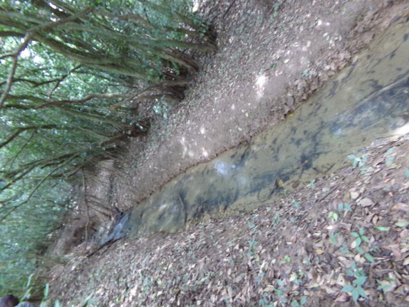 Twenty-Third image of Lot 139-unity Bunkers Hill in Bunkers Hill, Trelawny, Jamaica - property is For Sale