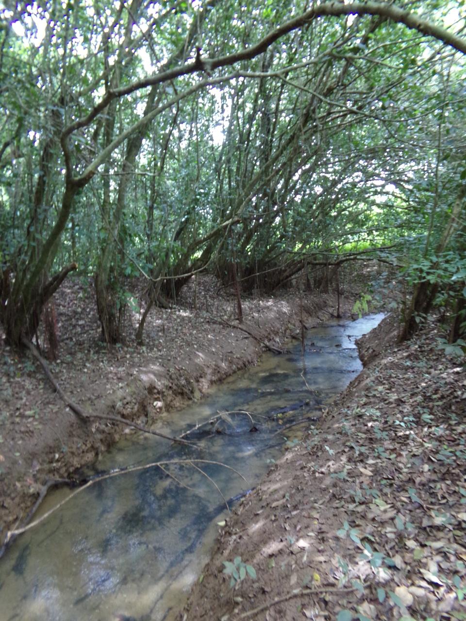 Twenty-Fourth image of Lot 139-unity Bunkers Hill in Bunkers Hill, Trelawny, Jamaica - property is For Sale