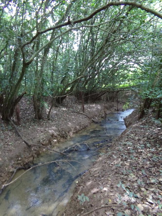 Twenty-Fourth image of Lot 139-unity Bunkers Hill in Bunkers Hill, Trelawny, Jamaica - property is For Sale