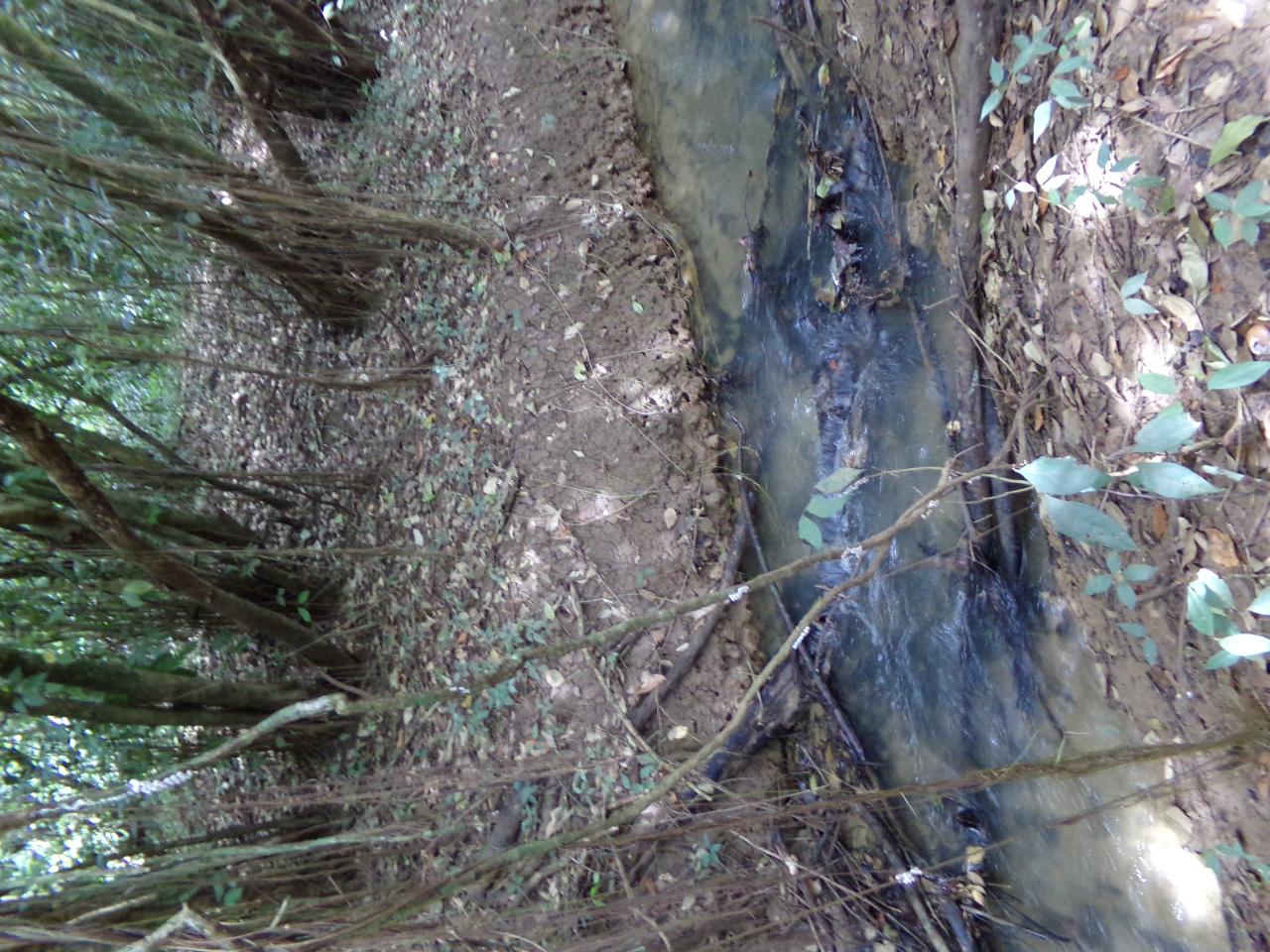 Twenty-Fifth image of Lot 139-unity Bunkers Hill in Bunkers Hill, Trelawny, Jamaica - property is For Sale
