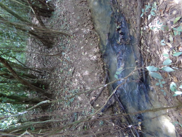 Twenty-Fifth image of Lot 139-unity Bunkers Hill in Bunkers Hill, Trelawny, Jamaica - property is For Sale