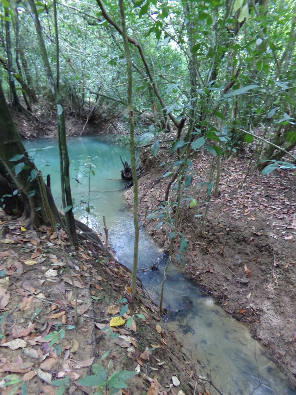 Twenty-Sixth image of Lot 139-unity Bunkers Hill in Bunkers Hill, Trelawny, Jamaica - property is For Sale