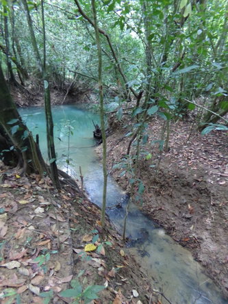 Twenty-Sixth image of Lot 139-unity Bunkers Hill in Bunkers Hill, Trelawny, Jamaica - property is For Sale