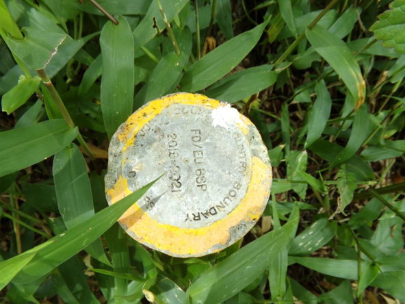 Fourth image of Lot 139-unity Bunkers Hill in Bunkers Hill, Trelawny, Jamaica - property is For Sale
