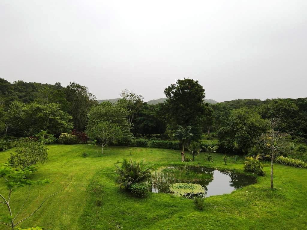Fifth image of Lot 139-unity Bunkers Hill in Bunkers Hill, Trelawny, Jamaica - property is For Sale