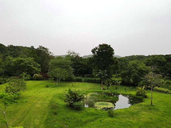 Fifth image of Lot 139-unity Bunkers Hill in Bunkers Hill, Trelawny, Jamaica - property is For Sale