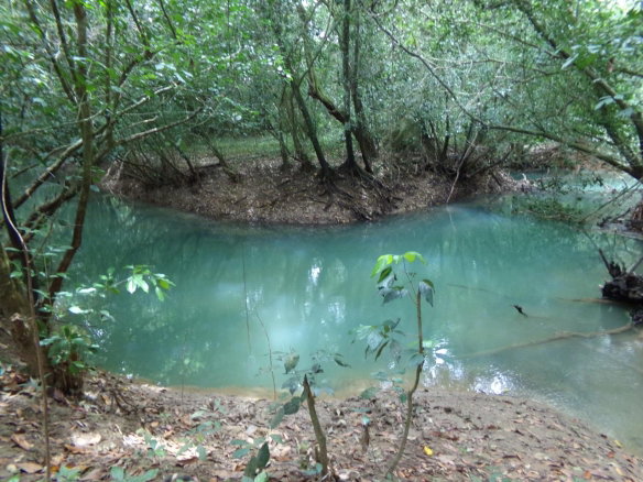 First image of Lot 139-unity Bunkers Hill in Bunkers Hill, Trelawny, Jamaica - property is For Sale