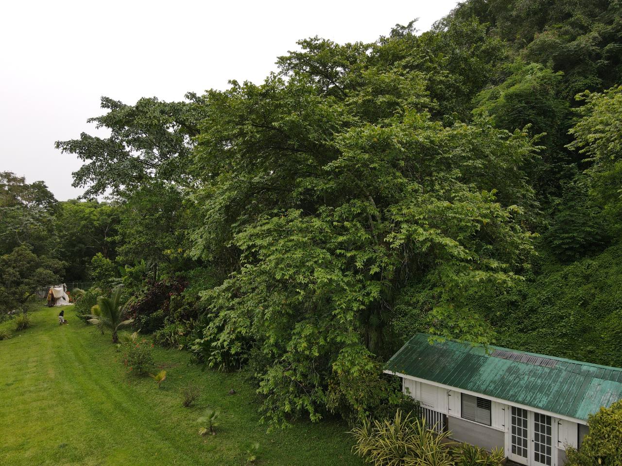 Eighth image of Lot 139-unity Bunkers Hill in Bunkers Hill, Trelawny, Jamaica - property is For Sale