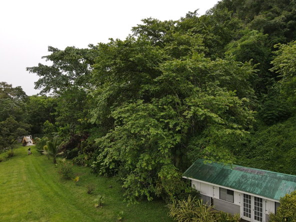 Eighth image of Lot 139-unity Bunkers Hill in Bunkers Hill, Trelawny, Jamaica - property is For Sale