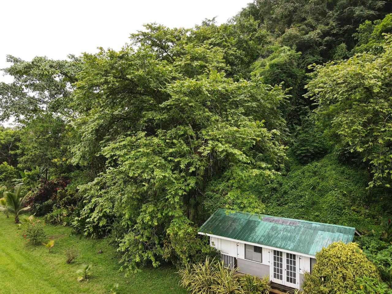 Tenth image of Lot 139-unity Bunkers Hill in Bunkers Hill, Trelawny, Jamaica - property is For Sale