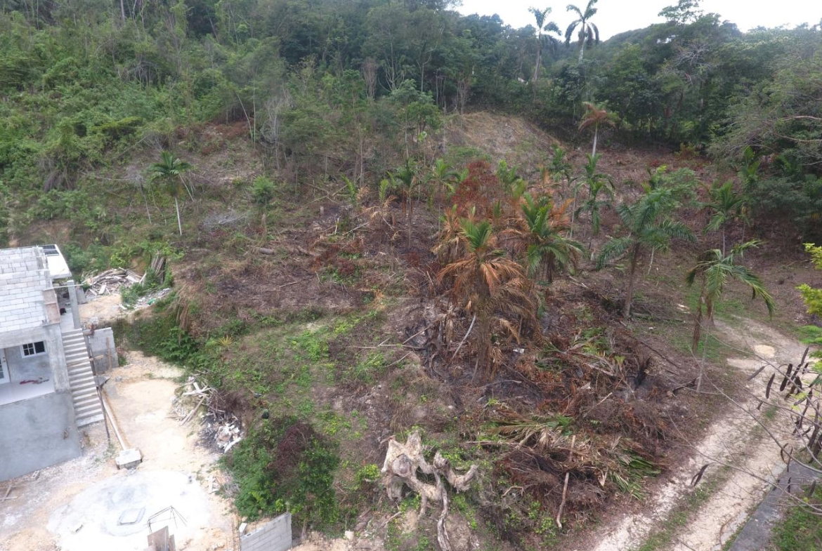 First image of Lot-5 Pimento Hill, Unity Hall in Unity Hall, St. James, Jamaica - property is For Sale