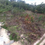 First image of Lot-5 Pimento Hill, Unity Hall in Unity Hall, St. James, Jamaica - property is For Sale