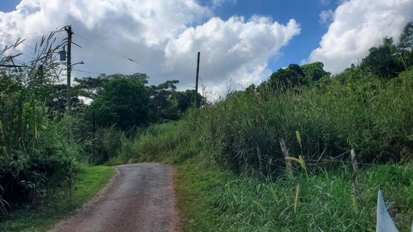 First image of 5 Greenvale Rd, Mandeville in Mandeville, Manchester, Jamaica - property is For Sale