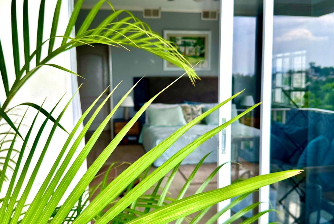 Twelfth image of 34-58 Norbrook Road in Norbrook, St. Andrew, Jamaica - property is For Rent