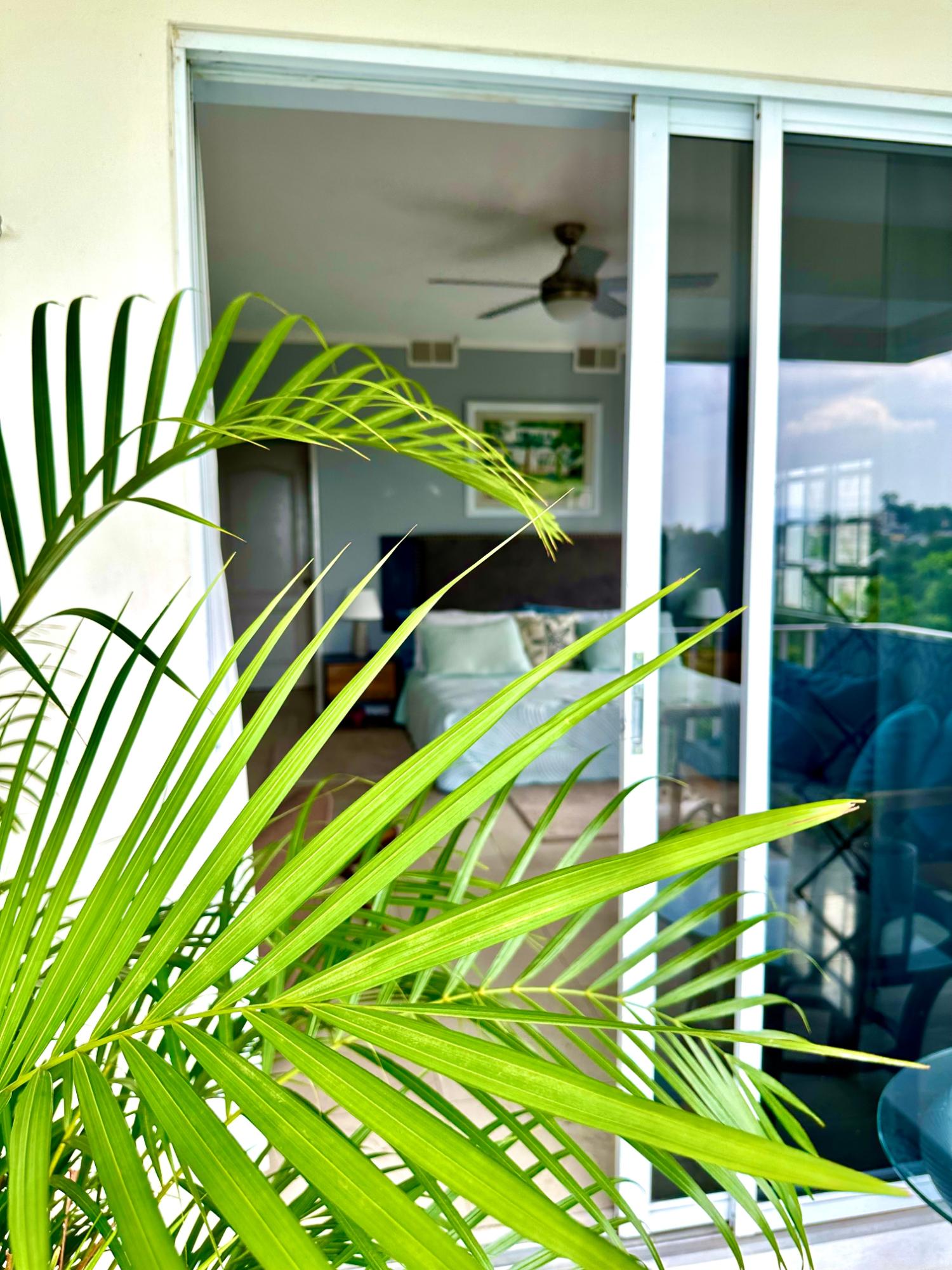 Stunning-2-Bedroom-Apartment-for-Rent-in-Jamaica-34-58-Norbrook-Road Twelfth image of 34-58 Norbrook Road in Norbrook, St. Andrew, Jamaica - property is For Rent