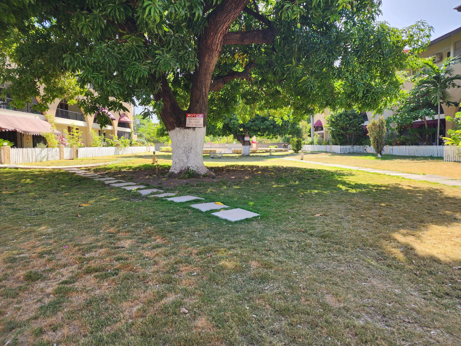 Second image of 63-60 Hope Road in Kingston 6, St. Andrew, Jamaica - property is For Rent
