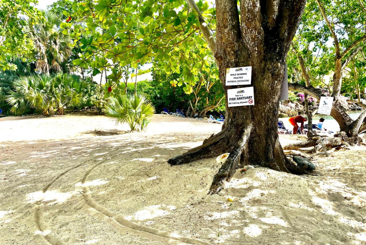 Thirteenth image of 95- Little Bay Country Club in Negril, Westmoreland, Jamaica - property is For Sale