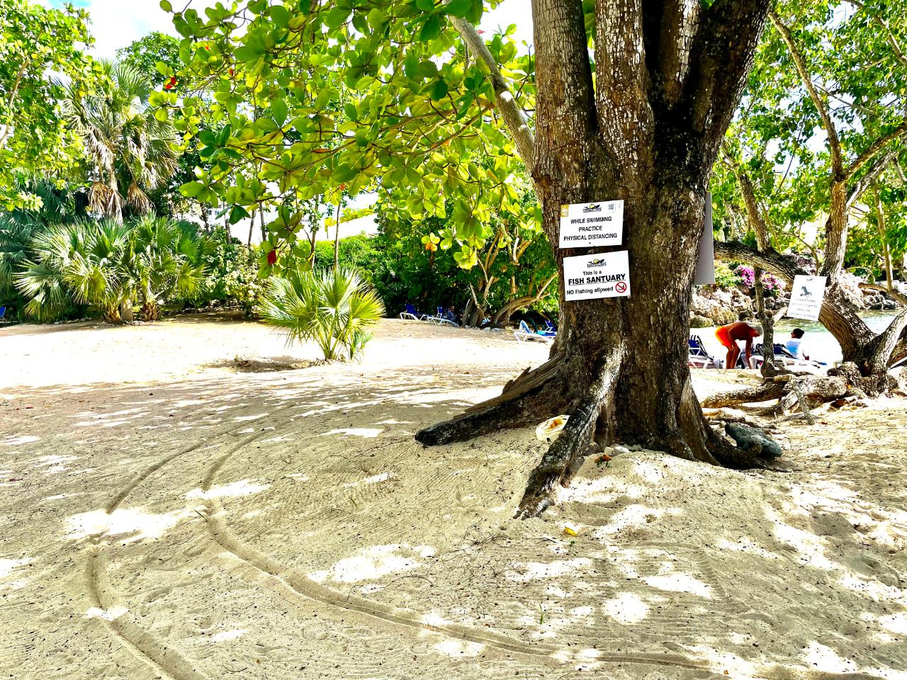 Thirteenth image of 95- Little Bay Country Club in Negril, Westmoreland, Jamaica - property is For Sale