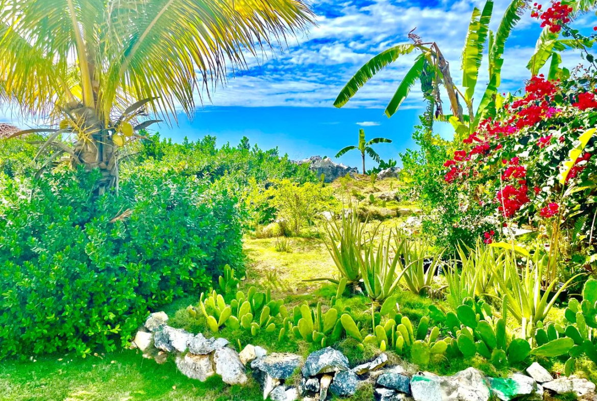 Fourteenth image of 95- Little Bay Country Club in Negril, Westmoreland, Jamaica - property is For Sale