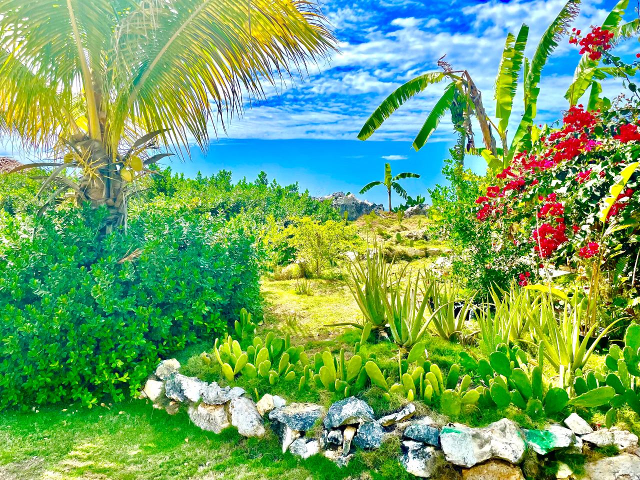 Fourteenth image of 95- Little Bay Country Club in Negril, Westmoreland, Jamaica - property is For Sale