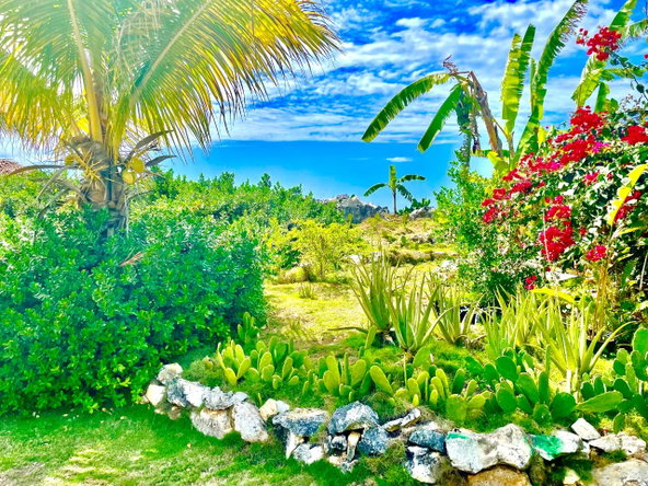 Fourteenth image of 95- Little Bay Country Club in Negril, Westmoreland, Jamaica - property is For Sale