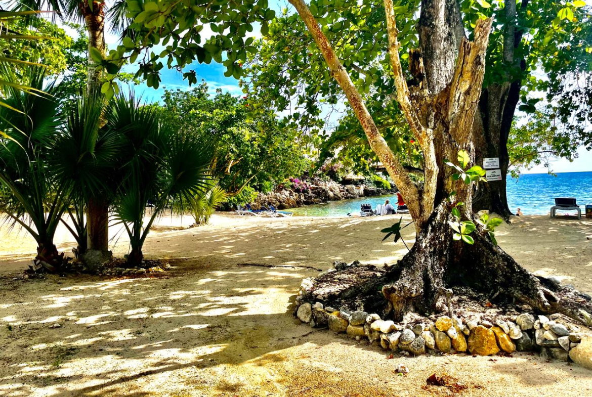 Fifteenth image of 95- Little Bay Country Club in Negril, Westmoreland, Jamaica - property is For Sale