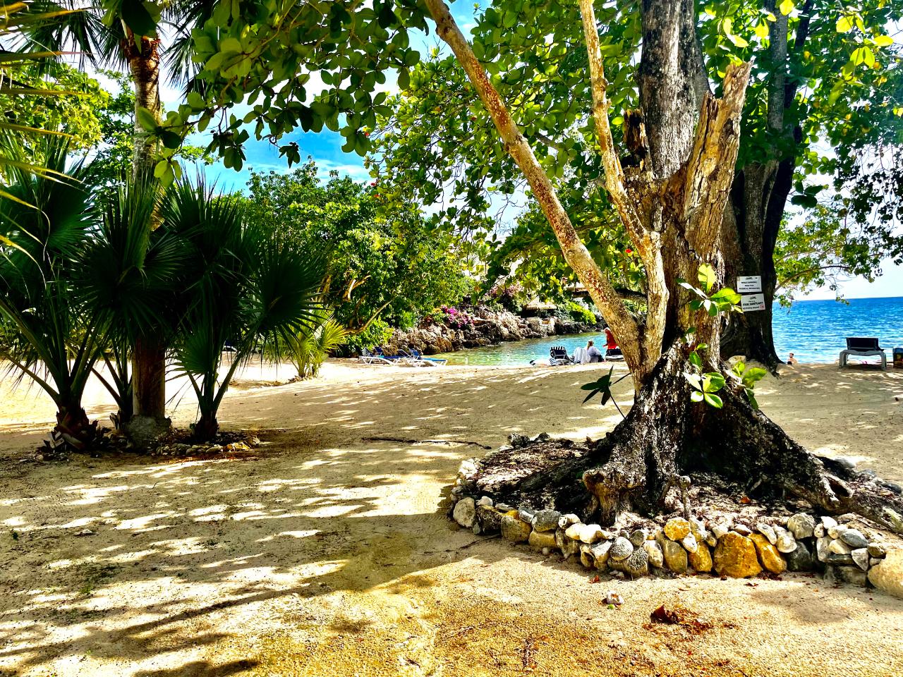 Fifteenth image of 95- Little Bay Country Club in Negril, Westmoreland, Jamaica - property is For Sale