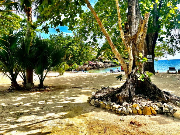 Fifteenth image of 95- Little Bay Country Club in Negril, Westmoreland, Jamaica - property is For Sale