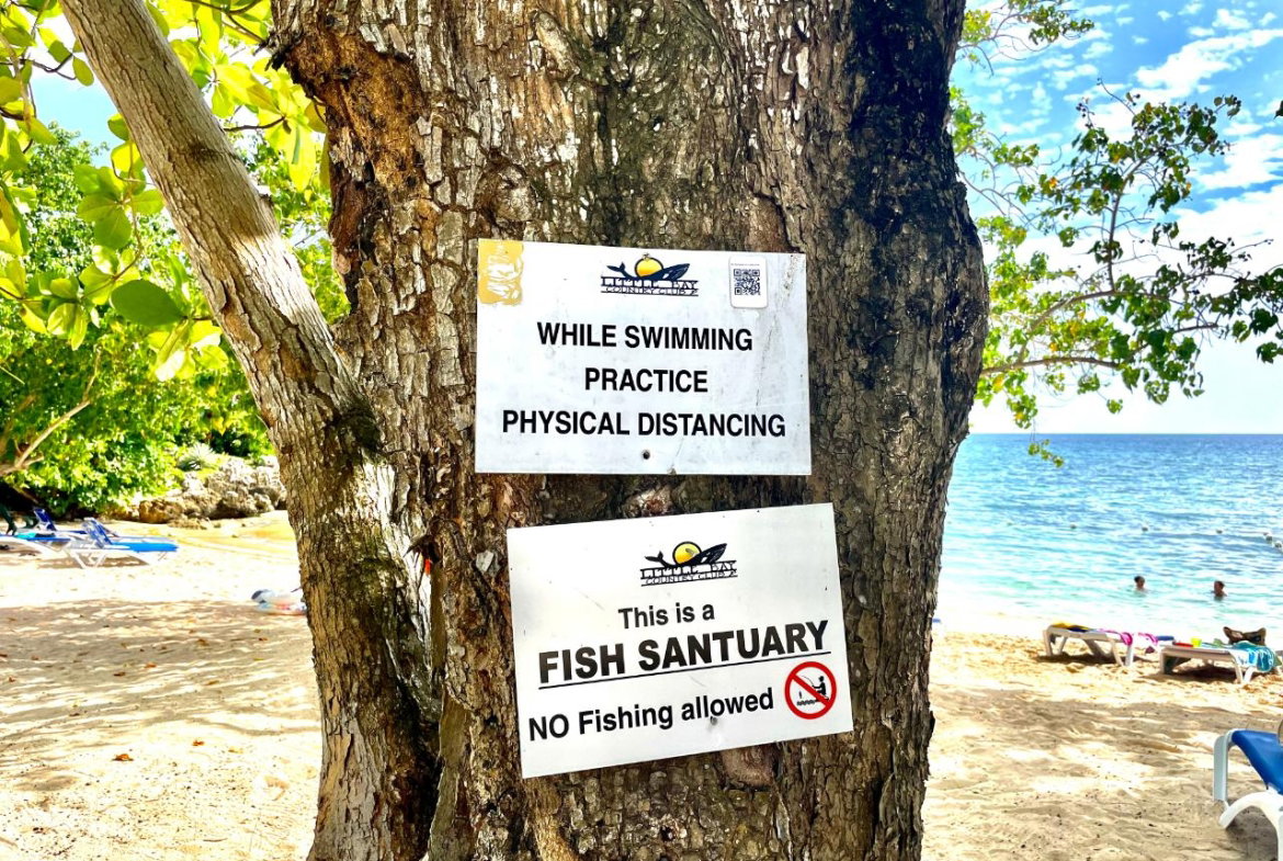 Sixth image of 95- Little Bay Country Club in Negril, Westmoreland, Jamaica - property is For Sale