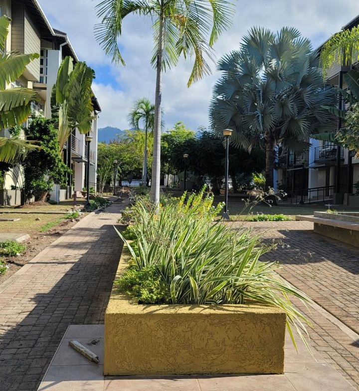 Sixth image of 53-1 Spathodia Avenue in Kingston 6, St. Andrew, Jamaica - property is For Rent