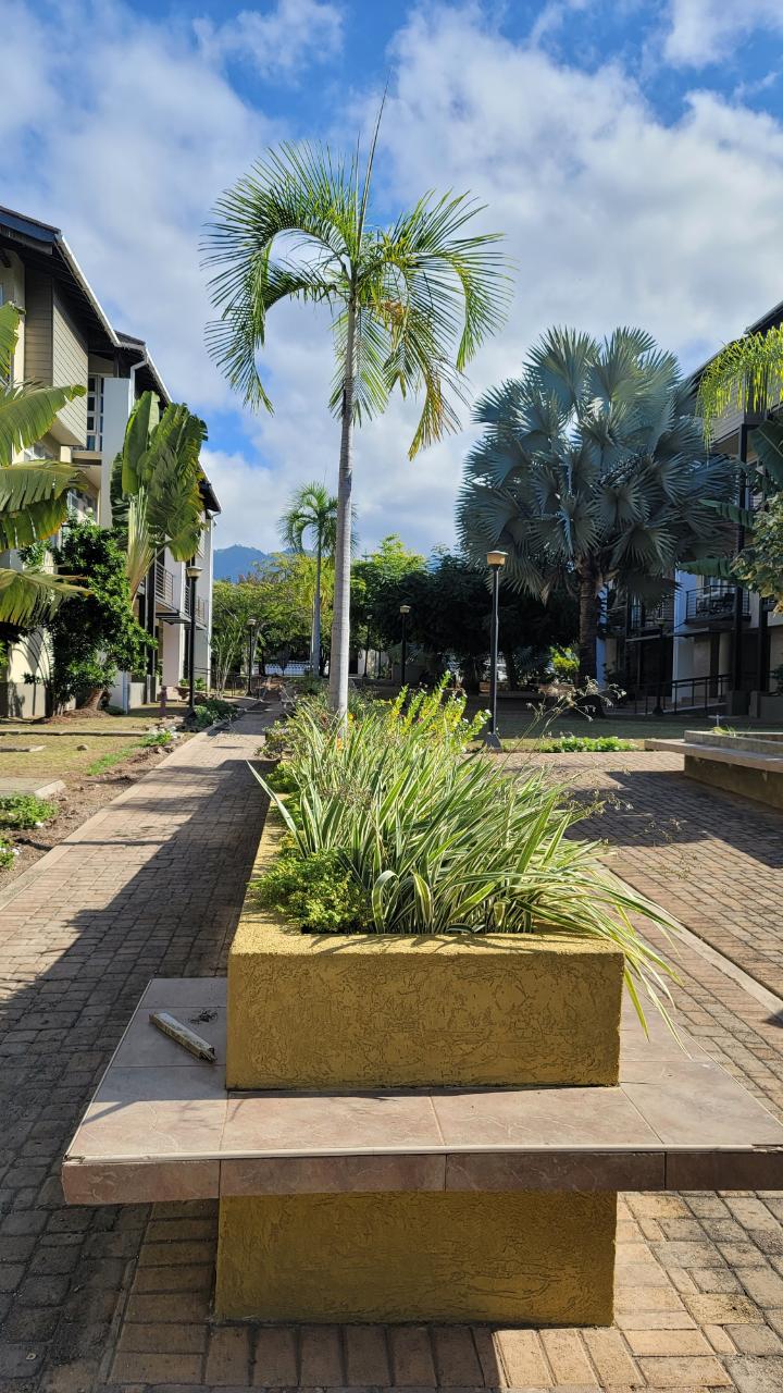 Sixth image of 53-1 Spathodia Avenue in Kingston 6, St. Andrew, Jamaica - property is For Rent