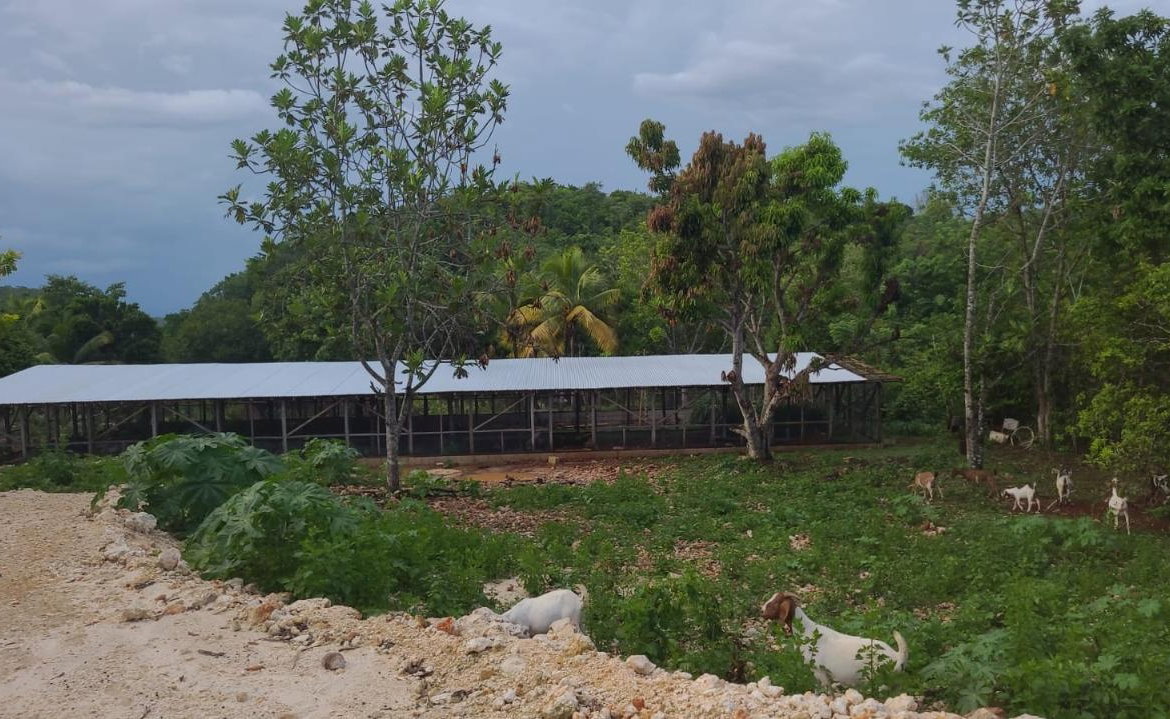 Twentieth image of Knapdale Manor in Knapdale, St. Ann, Jamaica - property is For Sale