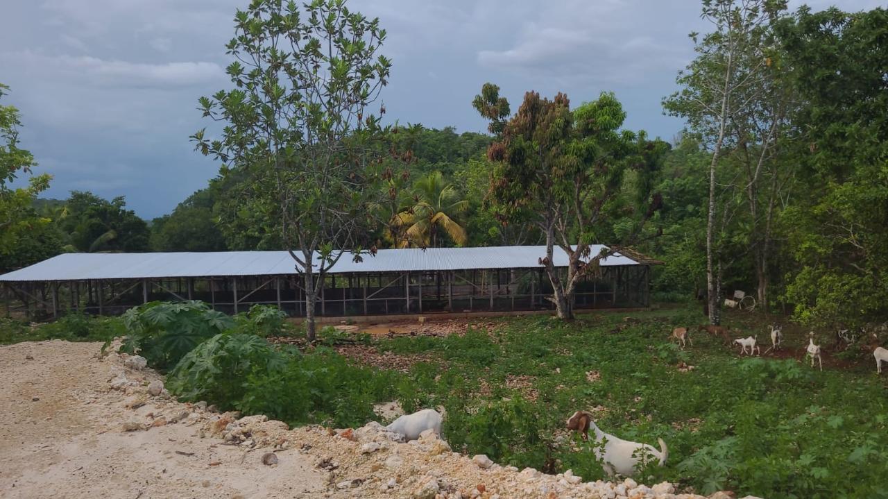 Twentieth image of Knapdale Manor in Knapdale, St. Ann, Jamaica - property is For Sale