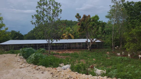 Twentieth image of Knapdale Manor in Knapdale, St. Ann, Jamaica - property is For Sale