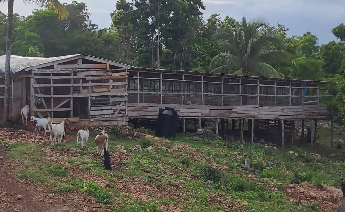 Twenty-Fourth image of Knapdale Manor in Knapdale, St. Ann, Jamaica - property is For Sale