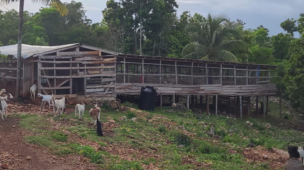 Twenty-Fourth image of Knapdale Manor in Knapdale, St. Ann, Jamaica - property is For Sale