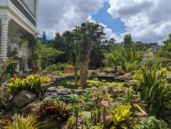 Fourth image of 2 Pangola Close in Mandeville, Manchester, Jamaica - property is For Sale