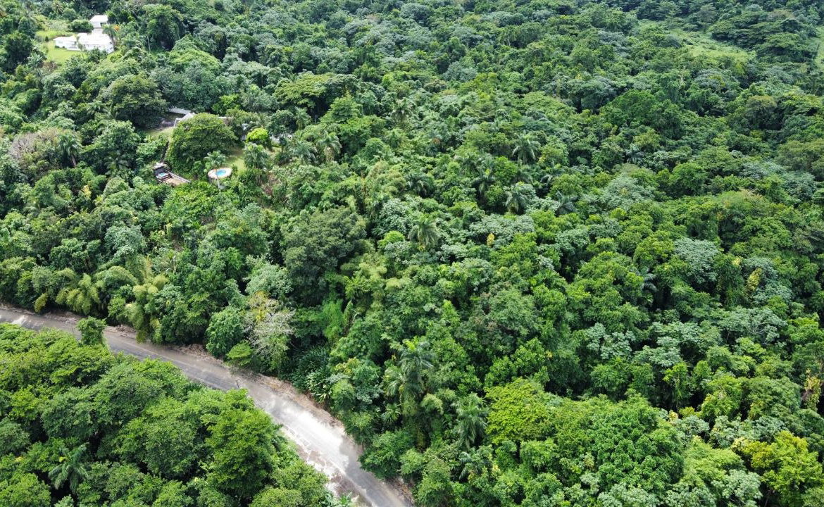 Second image of Lot 8 San San in Port Antonio, Portland, Jamaica - property is For Sale
