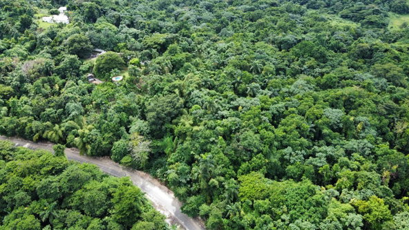 Second image of Lot 8 San San in Port Antonio, Portland, Jamaica - property is For Sale