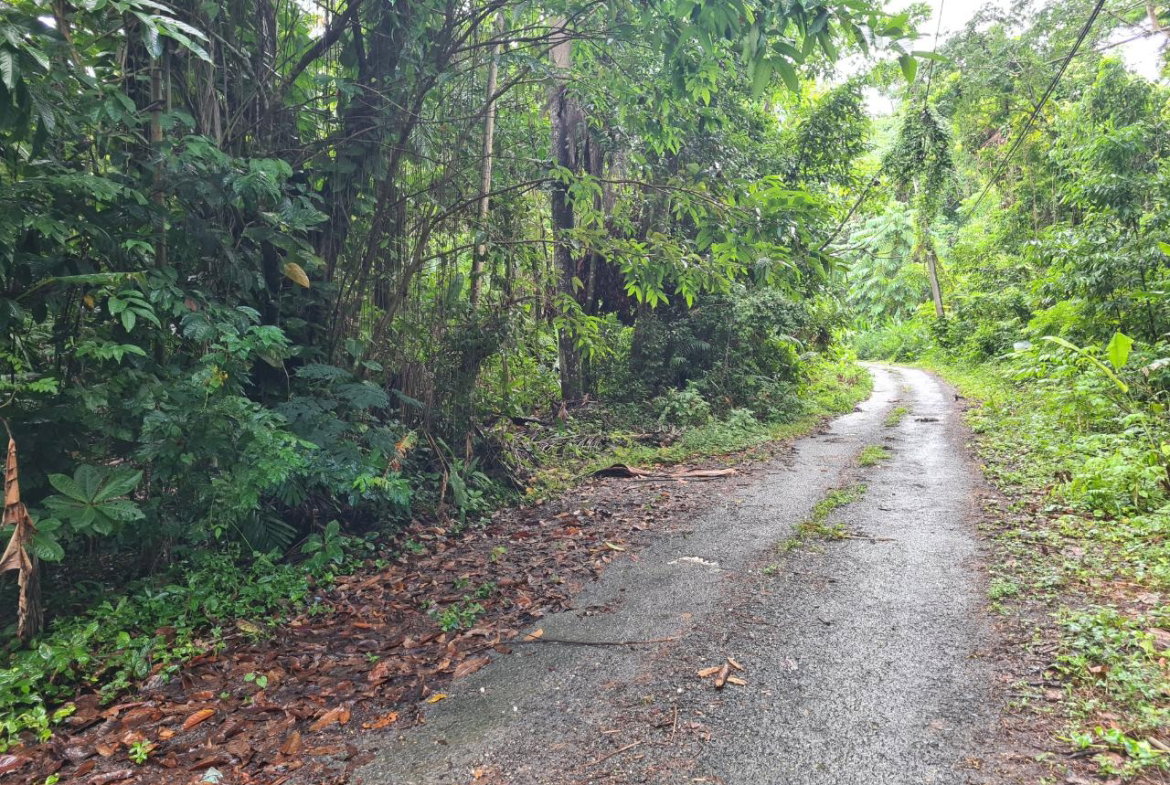 Third image of Lot 8 San San in Port Antonio, Portland, Jamaica - property is For Sale