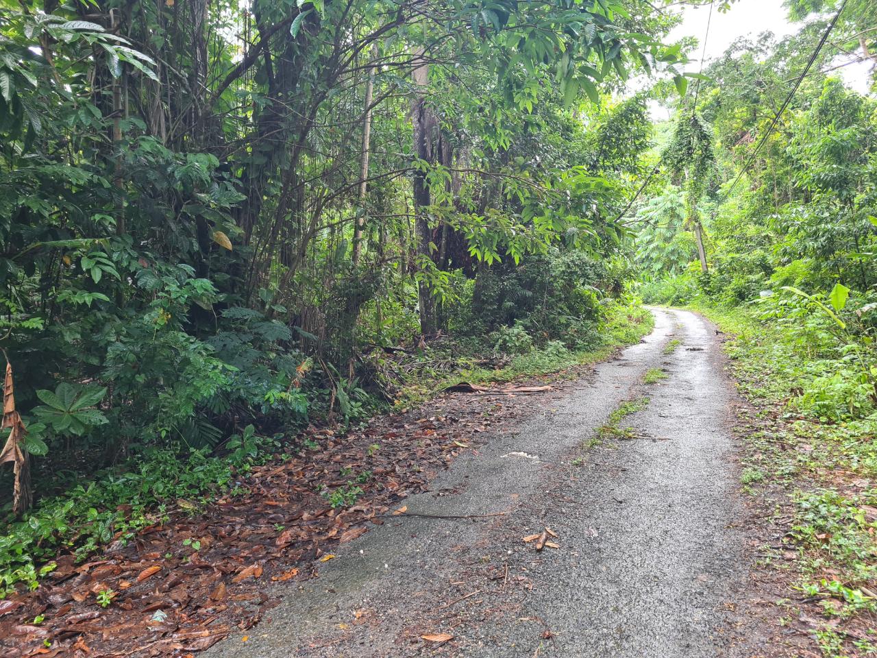 Stunning-2.1-Acre-Residential-Lot-for-Sale-in-Portland-Jamaica Third image of Lot 8 San San in Port Antonio, Portland, Jamaica - property is For Sale