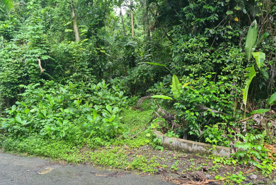 Fourth image of Lot 8 San San in Port Antonio, Portland, Jamaica - property is For Sale