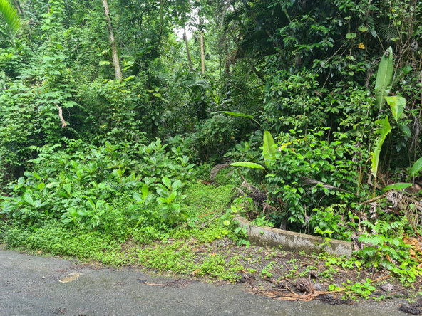 Fourth image of Lot 8 San San in Port Antonio, Portland, Jamaica - property is For Sale