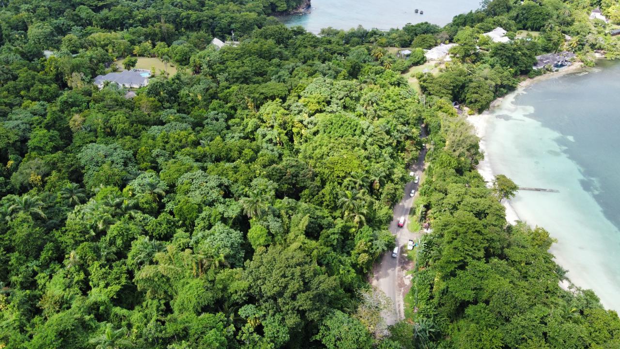 Stunning-2.1-Acre-Residential-Lot-for-Sale-in-Portland-Jamaica Fifth image of Lot 8 San San in Port Antonio, Portland, Jamaica - property is For Sale