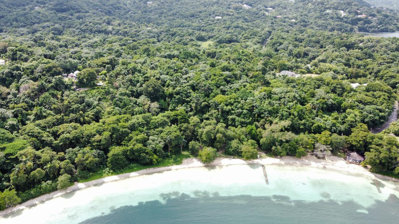 Stunning-2.1-Acre-Residential-Lot-for-Sale-in-Portland-Jamaica Sixth image of Lot 8 San San in Port Antonio, Portland, Jamaica - property is For Sale